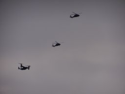 V-22 Osprey und UH-60 Black Hawk in Formation