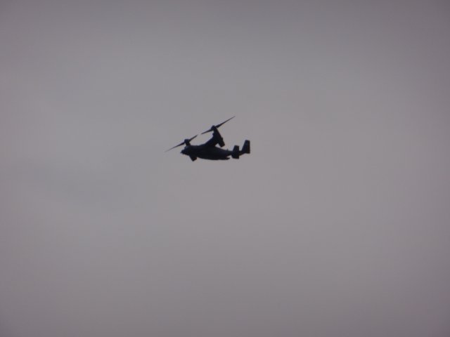 V-22 Osprey und UH-60 Black Hawk in Formation