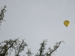 Ballonfahrt in der Herbstsonne